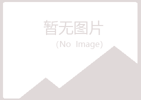 鹤山区迷失咨询有限公司